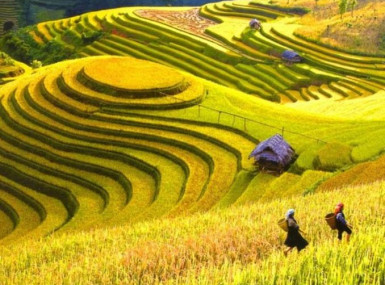10 Best Places to Visit in Vietnam in 2021